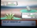 videos de Where To Find Larvitar In Pokemon Diamond.