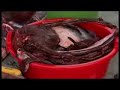 Whale hunting - Faroe Island