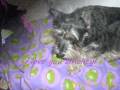 videos de my special girl