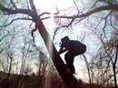 our hero fart squart finds himself finding cat in a tree and being the hero he is fart squart climbs the tree to save his beloved feline