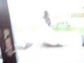 videos de Iben with a cola bear (;