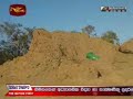 LTTE area leader Maran killed by Sri Lanka Army