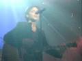 Les Aventuriers, Raphaël & Alain Bashung