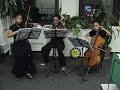 ,josunjari,sibling string trio,practicing Brahms