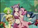 tokyo mew mew