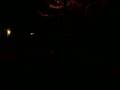 videos de macauley and lauren singing