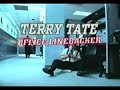 Terry Tate Office Linebacker 