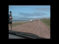 25 KM de Miquelon la course