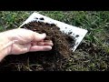 Hunting Hanover Park Part 2