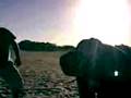 videos de Ah chu secsi for mai lov