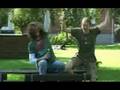 Carlsberg Lite Spoof (Harboe Gulds)