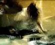 The Demonstration pretty bones music video
