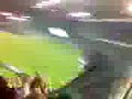 das 1:0 für Grün-Weiß im Wiener...