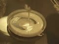 Rock & Roll cornflour experiment 3