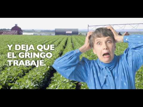 Imagen de previsualización de YouTube