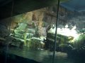 VID00067.AVI