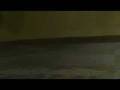videos de Bolt