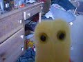 The Dancing Germ The Dancing Germ