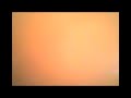 Video-tatu Video-tatu
