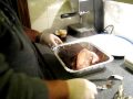 Traeger Video - Traeger Pulled Pork