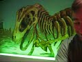 matt-harding-in-tokyo.html