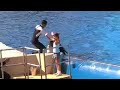 Sea World - Believe Pt.4