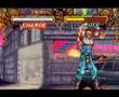 Double Dragon (All Character Combo Exhibition)