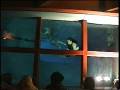 videos de Underwater Banjo Brookdale Bluegrass Festival