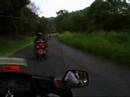 GoldWings in Northern Rivers NSW