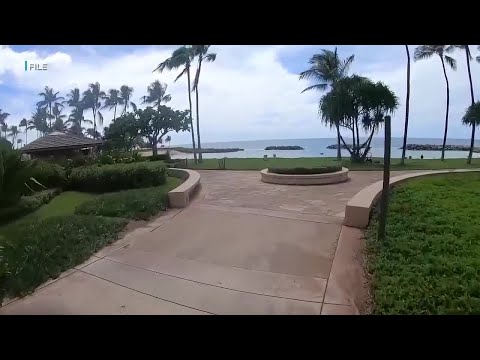 Nuotatore muore dopo che alcuni passanti lo hanno tirato fuori dall’acqua | Notizie sulle Hawaii adesso Nuotatore muore dopo che alcuni passanti lo hanno tirato fuori dall’acqua | Notizie sulle Hawaii adesso