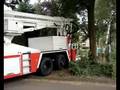 Uitruk Brandweer (255) voor kat in boom