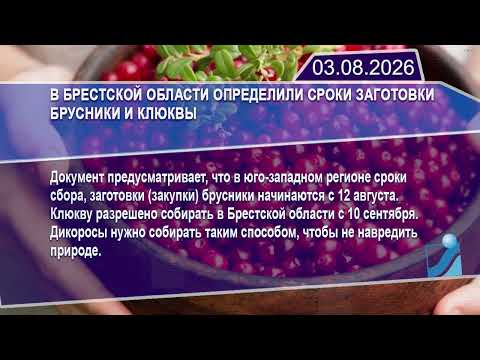 Новостная лента Телеканала Интекс 03.08.26.