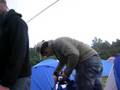 dour 2008