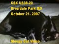 csx u838 20 loaded coal and another idiot
