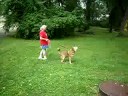 Watchdog