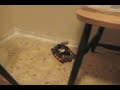 SIMBA_Test_Run5 SIMBA_Test_Run5