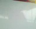 Don Jale xD! Coco Rayado