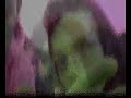 Lycanthrope Lycanthrope