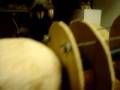 videos de cobra neck project