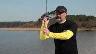 Storm Doom Bell Shad-O Deep  - Cougar