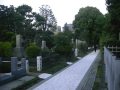 9th May 2009 @ Aoyama Cemetery Tokyo / 2009年5月9日の青山霊園:YouTube閲覧数=267回
