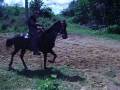 videos de Enigma de Caudillo