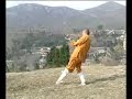 Shaolin Mizong Quan Erlu