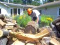 Stihl MS-460 Magnum