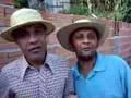 Assistir ao v�deo