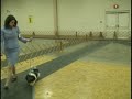 Woodstock Dog Show \ Woodstock Dog Show \