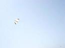 essaouia kitesurf