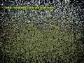 una guerra llamada ascenso 2008 parte 1