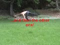 Aerial Tutorial