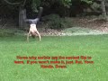 Aerial Tutorial